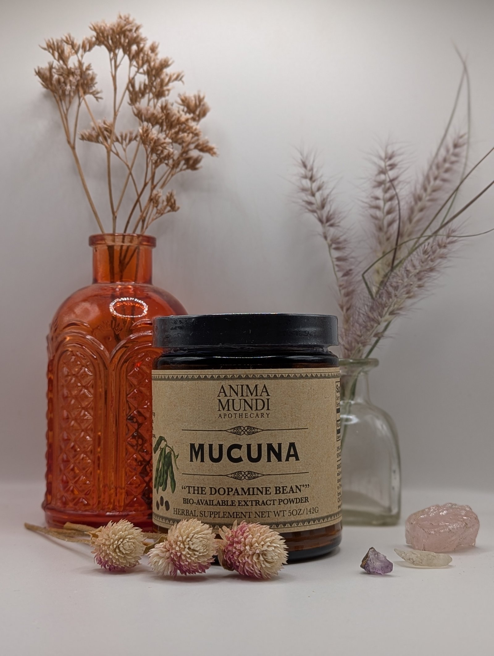 MUCUNA - The Dopamine Bean